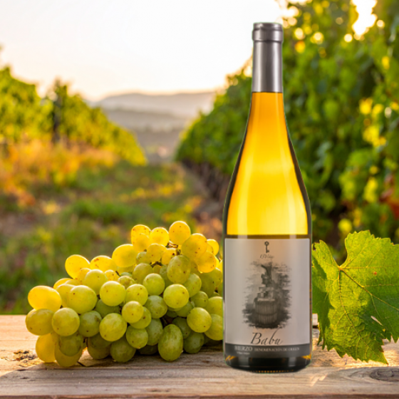 Babu D.O Raíces del Bierzo7